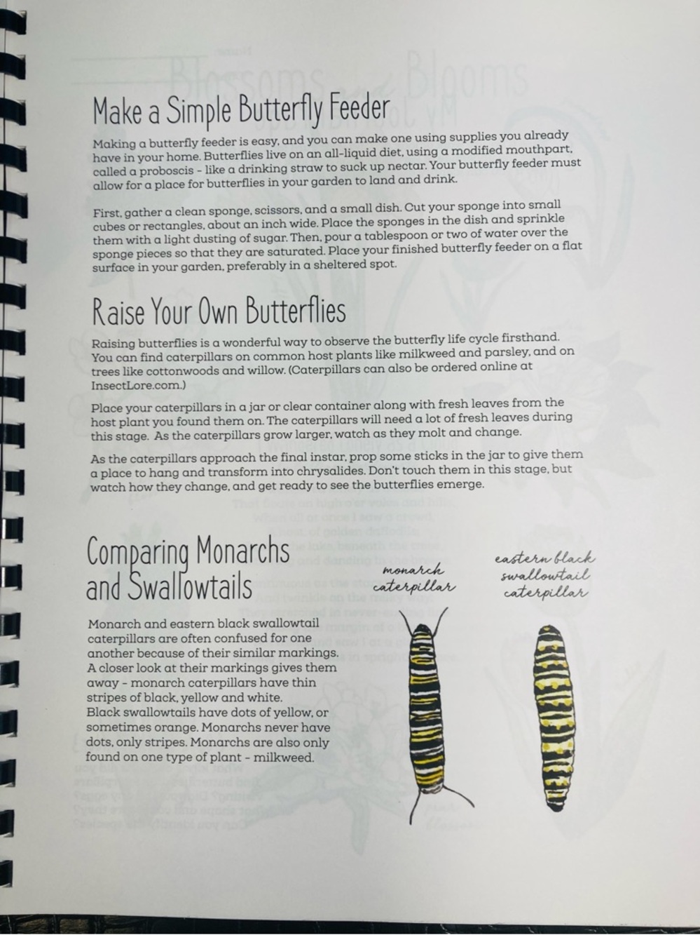 NEW The Seasons Nature Journal The Wild Child’s … 2021 Natalie McCatty - Picture 6 of 14